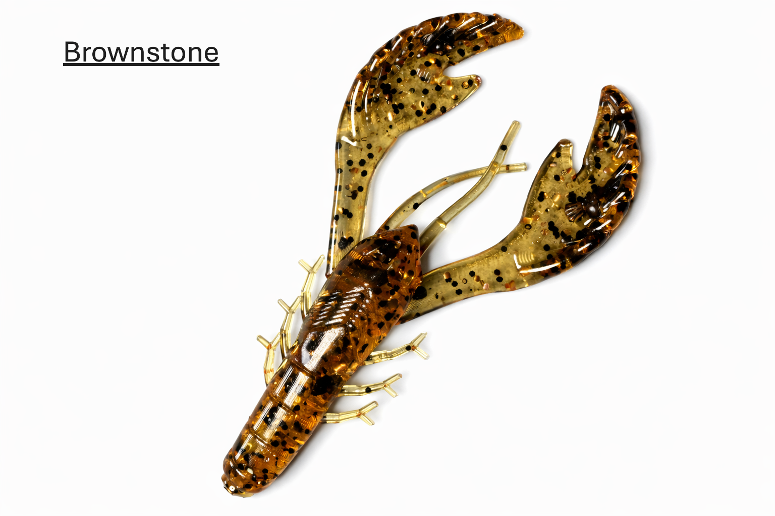 Ecto Craw