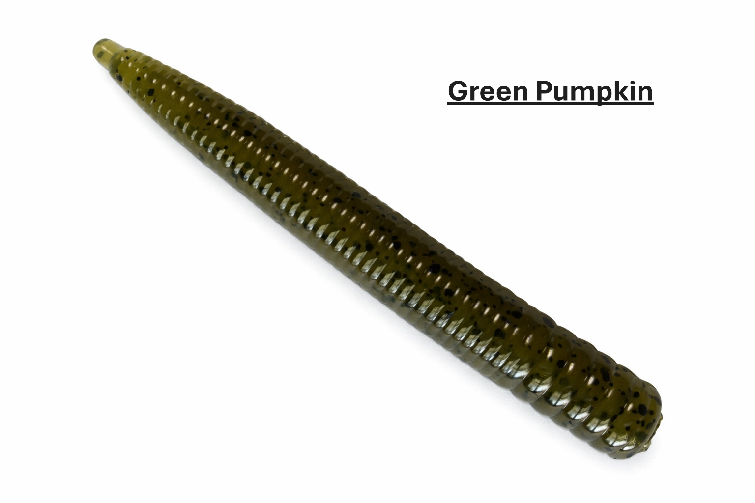 Ned Worm