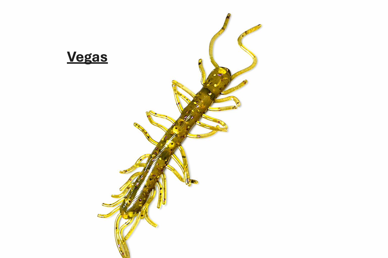 Centipede