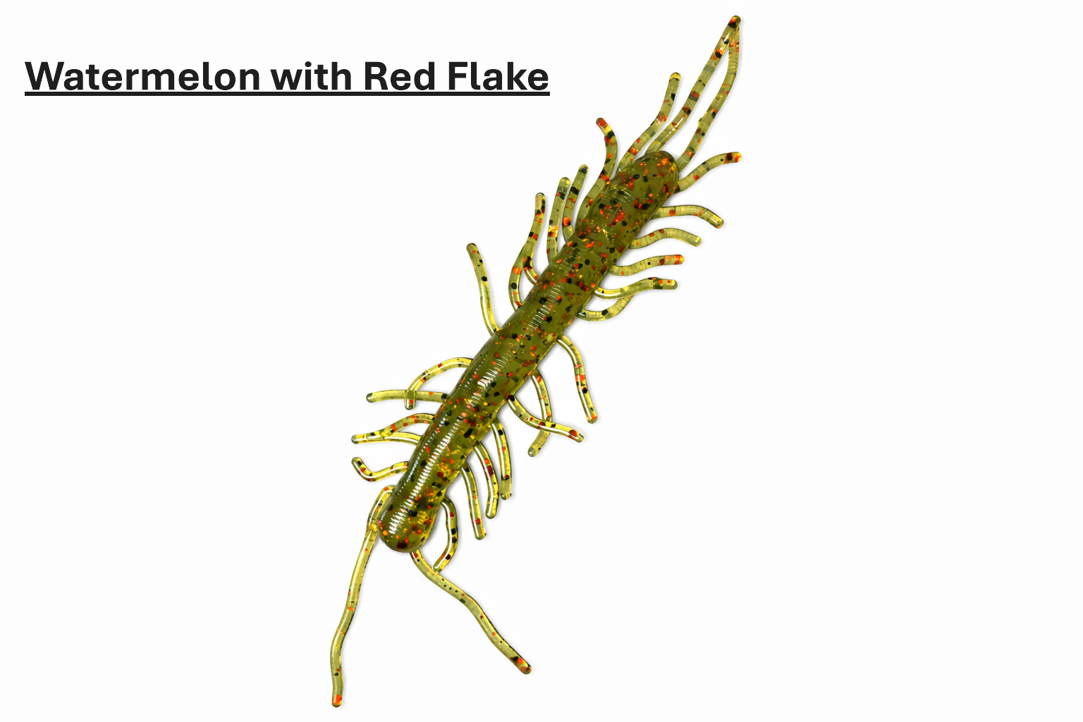 Centipede